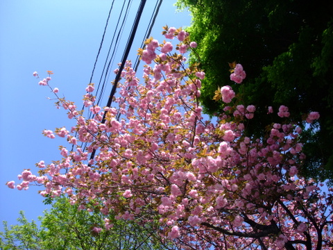 a0043982_18493148.jpg