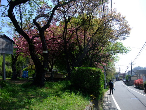 a0043982_18495920.jpg