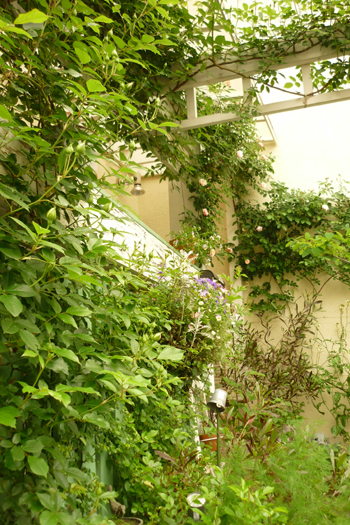 f0166982_2311359.jpg