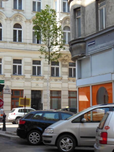 a0080183_724813.jpg