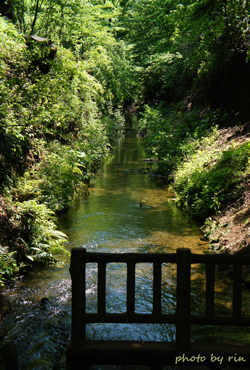 b0168683_23281036.jpg