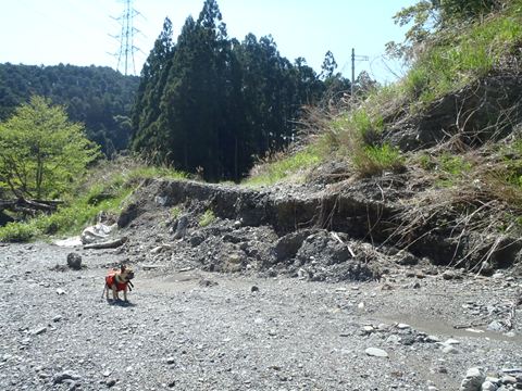 d0165689_23501987.jpg