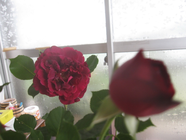 a0237391_139037.jpg