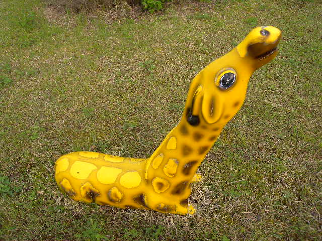 a0199297_8105258.jpg