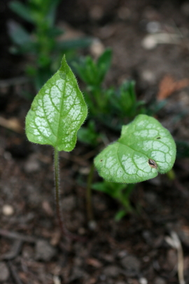 f0041606_17305820.jpg