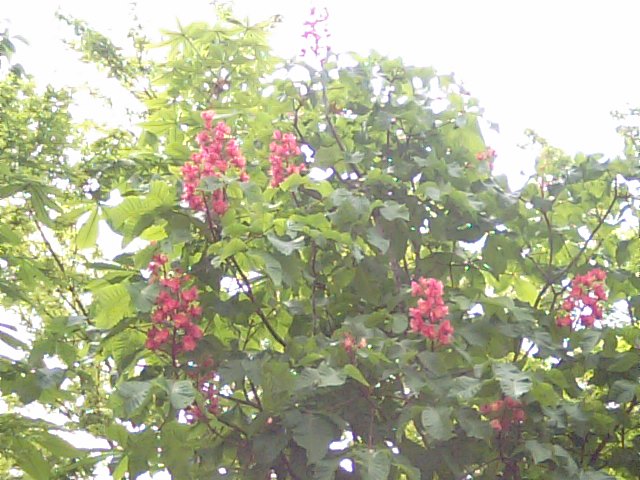 f0231709_8493055.jpg