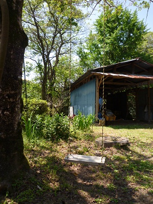 a0156611_17205458.jpg