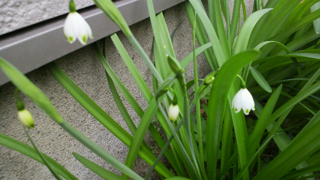 b0035611_20441374.jpg