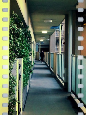 c0004211_223545.jpg