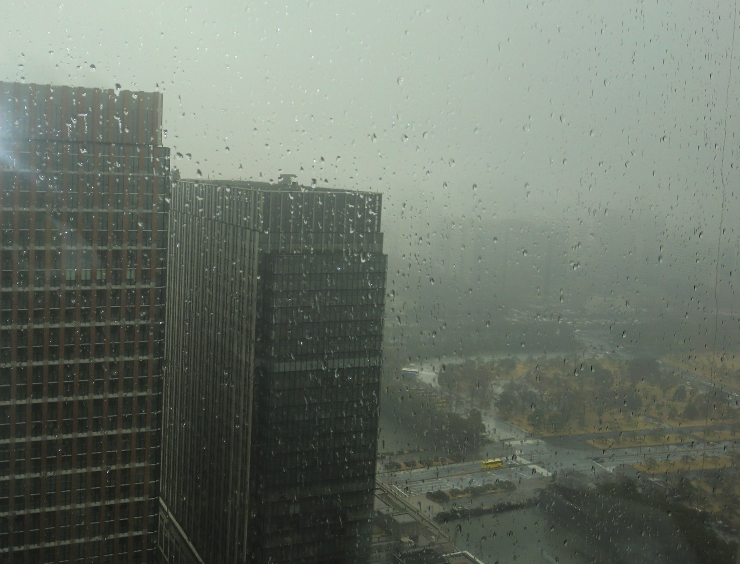 c0095424_10561939.jpg