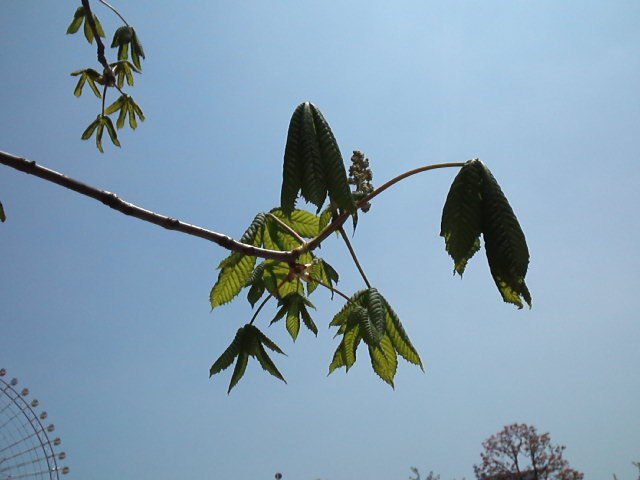 d0008724_0523498.jpg