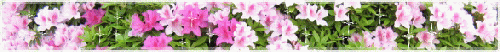 a0098027_17531412.gif