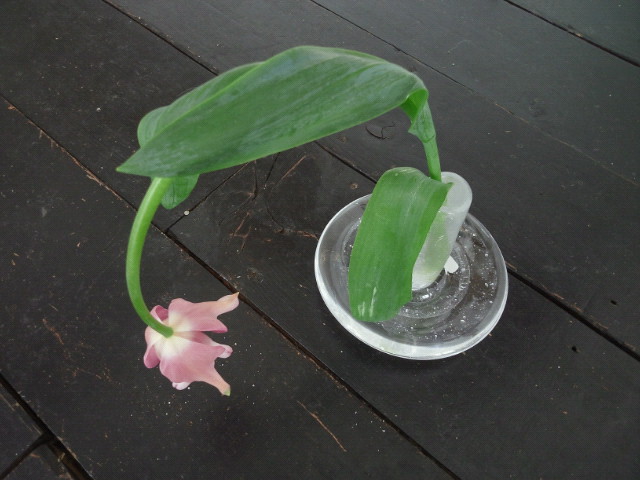 f0045630_1052212.jpg