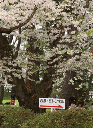 e0138031_2128430.jpg
