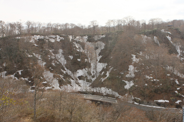 e0138031_21331930.jpg