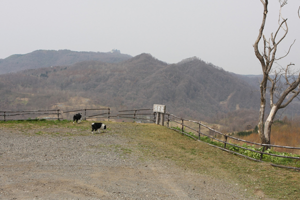 e0138031_730124.jpg