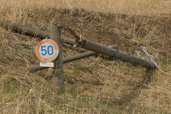 e0138031_7312419.jpg