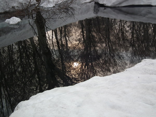 f0118332_0121477.jpg