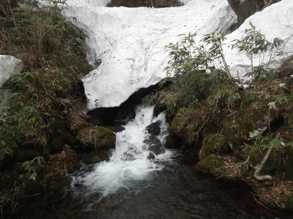 f0118332_0132214.jpg