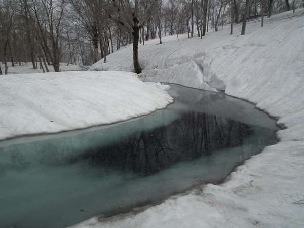 f0118332_013514.jpg