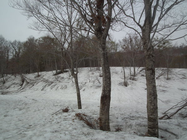 f0118332_051162.jpg