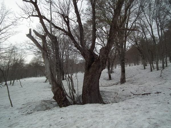 f0118332_09663.jpg