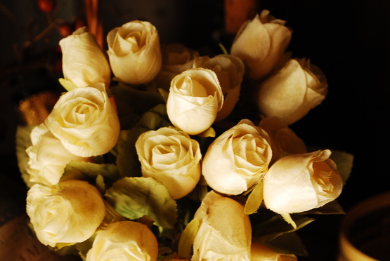 f0238332_13471352.jpg