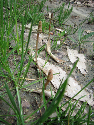 f0234936_1711938.jpg