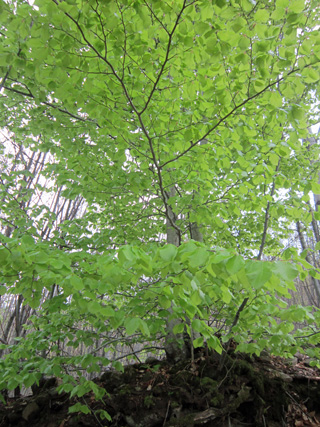 f0234936_17122515.jpg