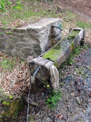 f0234936_17132322.jpg