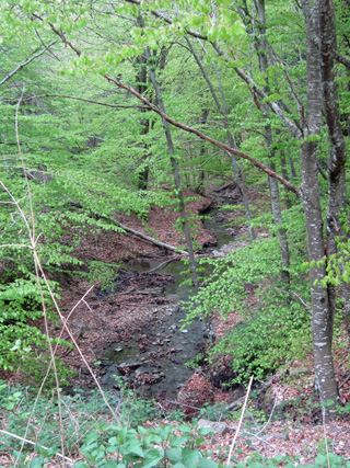 f0234936_1713588.jpg