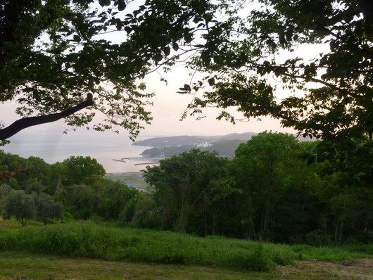 d0174037_2043237.jpg