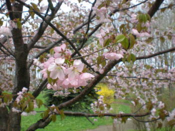 b0001440_14571058.jpg