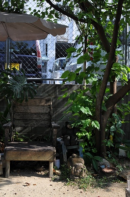 a0182241_1714994.jpg