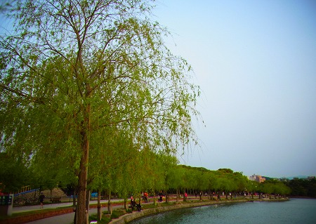 c0171349_8521457.jpg