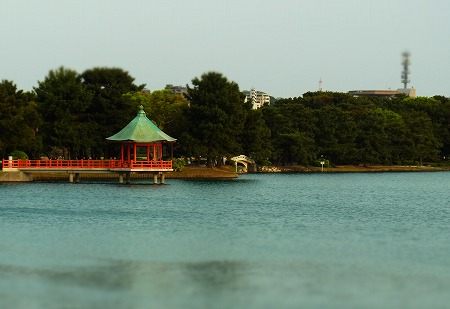 c0171349_8524157.jpg