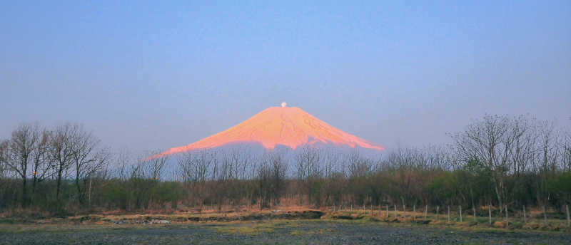 a0150260_16352116.jpg