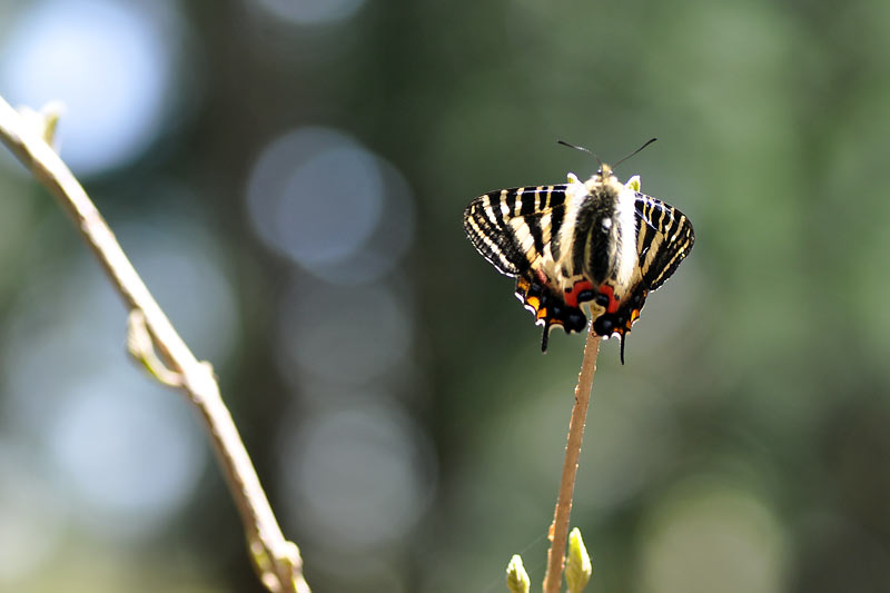 c0043361_024430.jpg