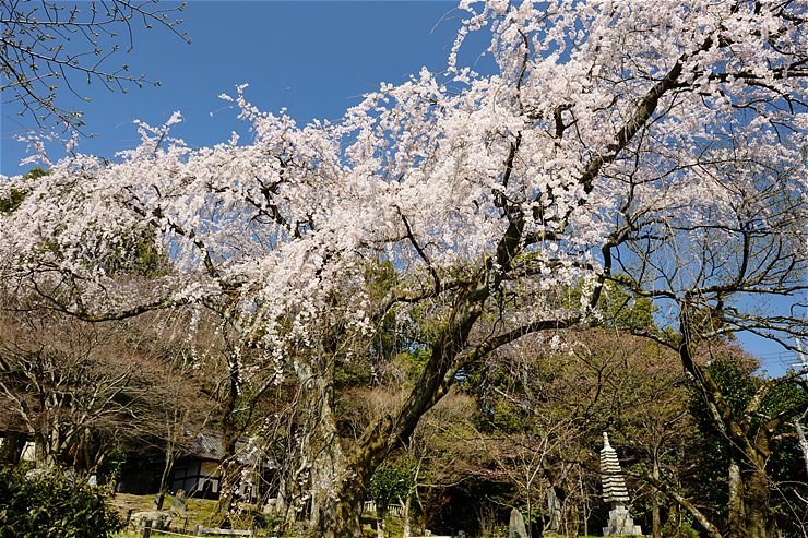 f0222161_1828345.jpg
