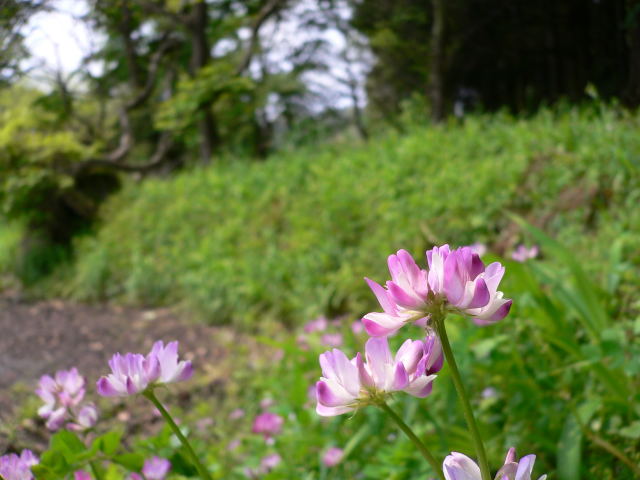 b0167762_2327963.jpg