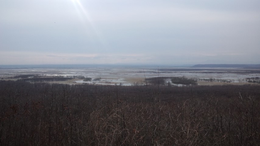 e0153062_0165611.jpg