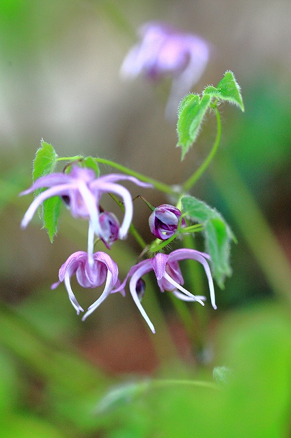 d0128465_9324021.jpg