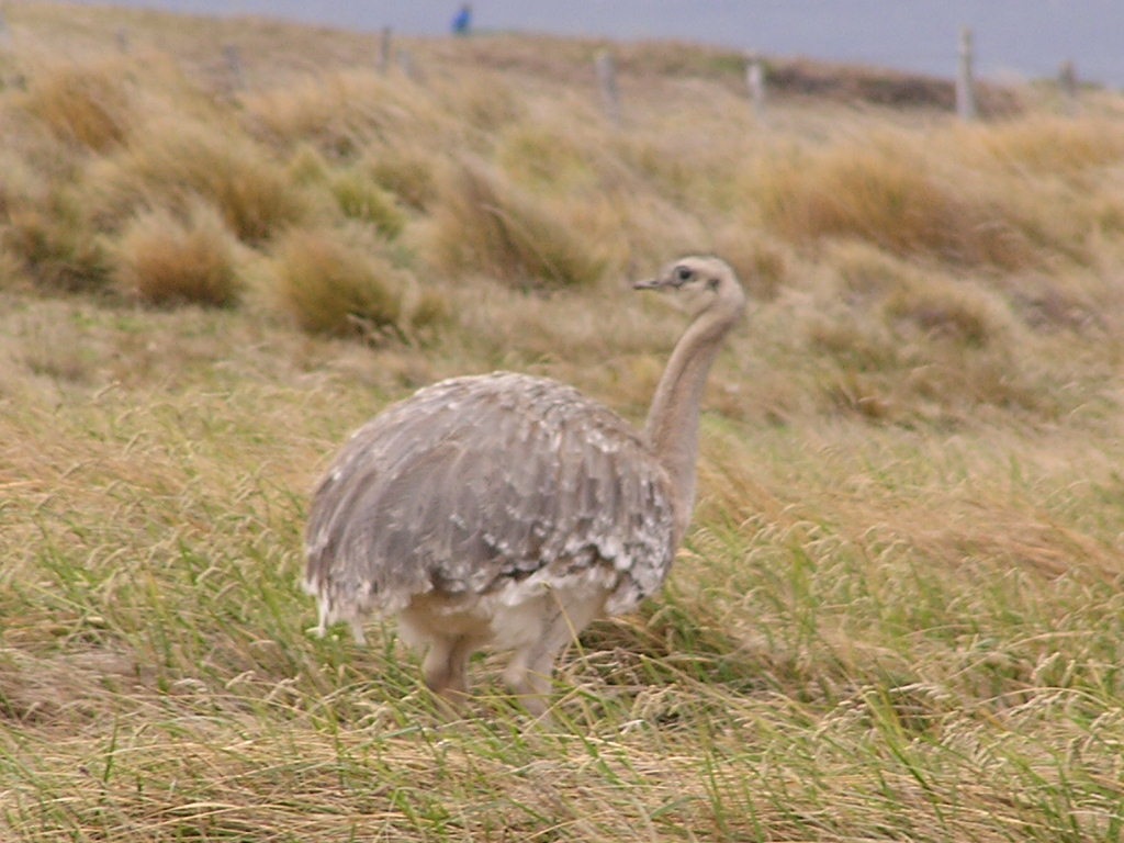 c0103368_2515923.jpg