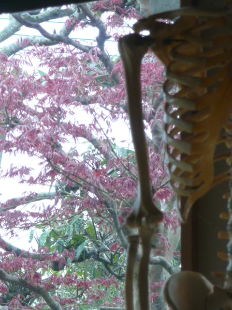 a0154870_17836100.jpg