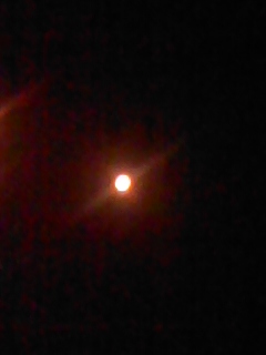 e0161972_16222678.jpg