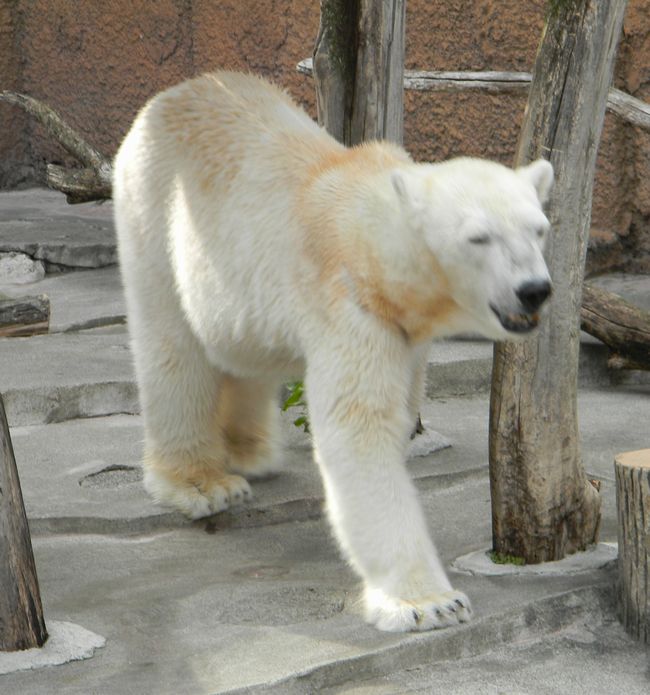 b0014576_21595972.jpg