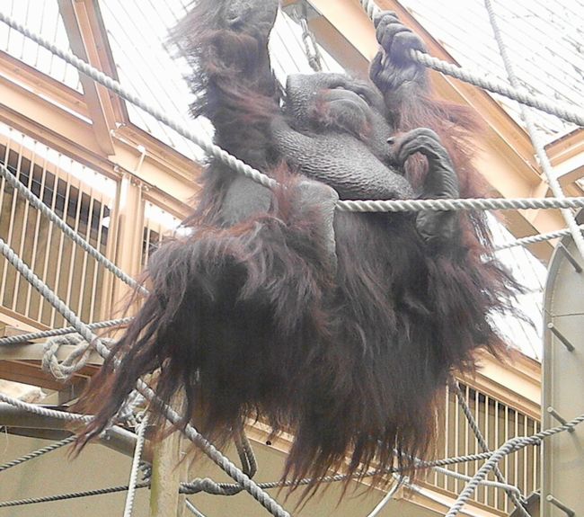b0014576_22161060.jpg