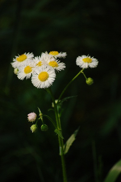 e0252879_2155163.jpg
