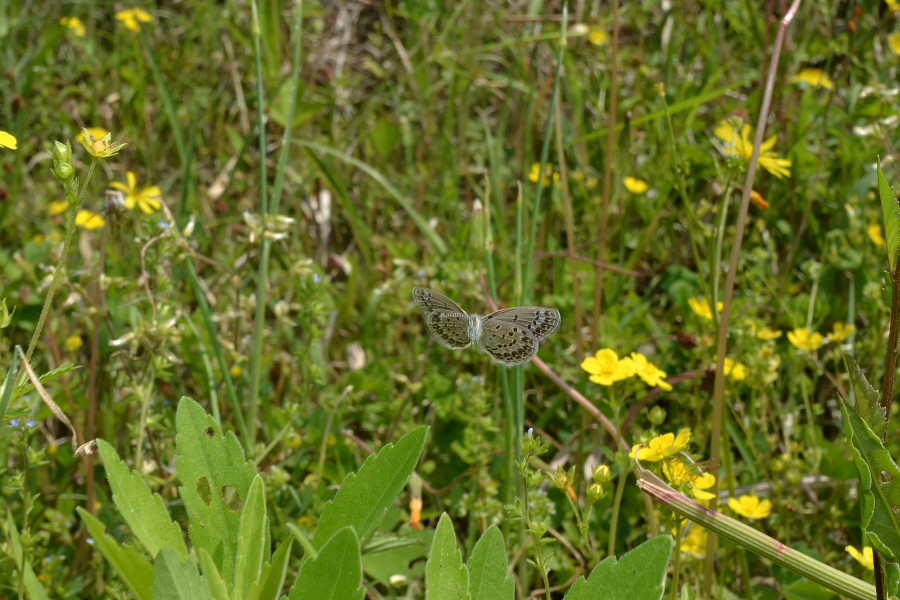 f0090680_20555744.jpg