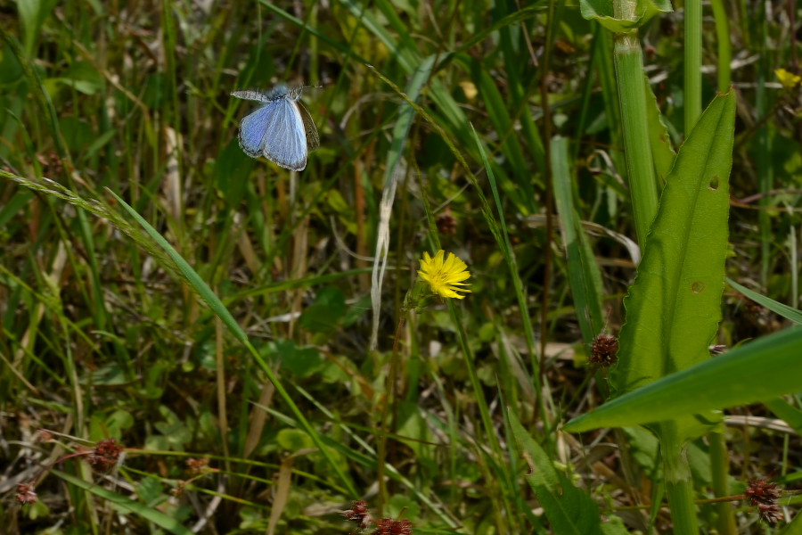 f0090680_20563955.jpg